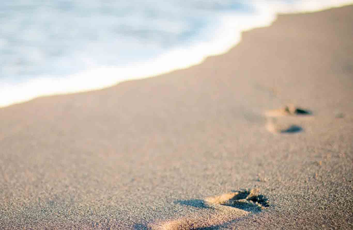 Alleppey Beach Resorts